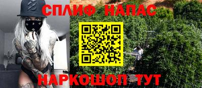 гашик Шелехов