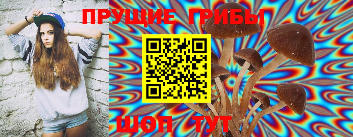 Галлюциногенные грибы Psilocybine cubensis  Вход с VPN  Альметьевск 