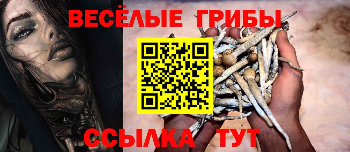 Псилоцибиновые грибы GOLDEN TEACHER Альметьевск